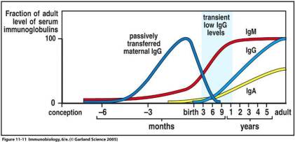 BabyImmunobiology